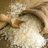 Vše o rýži