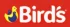 Bird's
