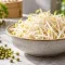 Mung bean sprouts