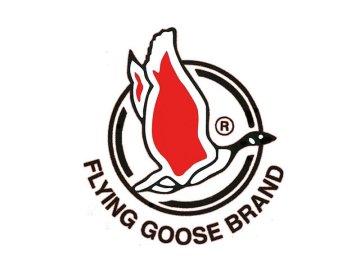 Flying Goose Flying Goose