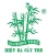 Bamboo Tree